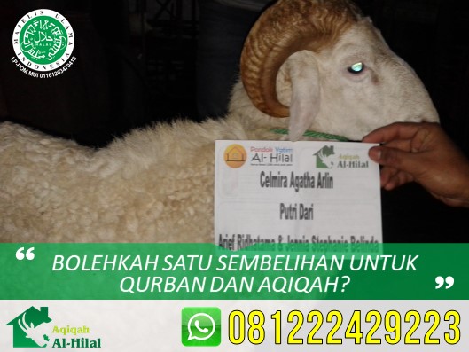 AQIQAH BANDUNG