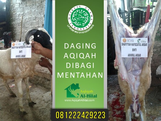 AQIQAH BANDUNG