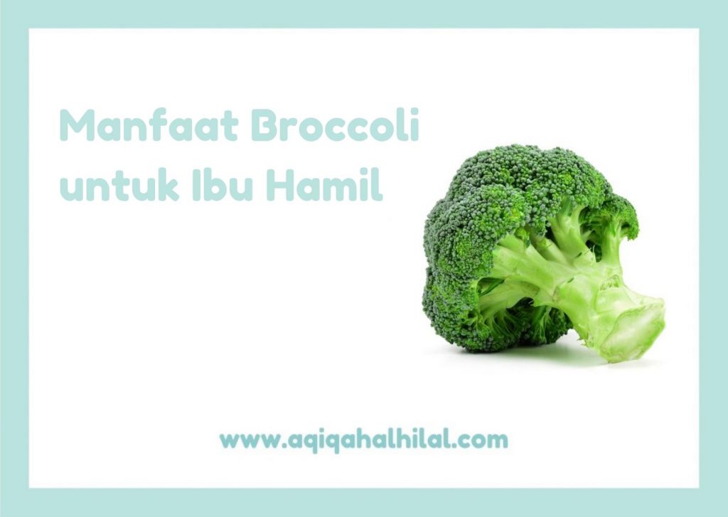 Manfaat Broccoli untuk Ibu Hamil
