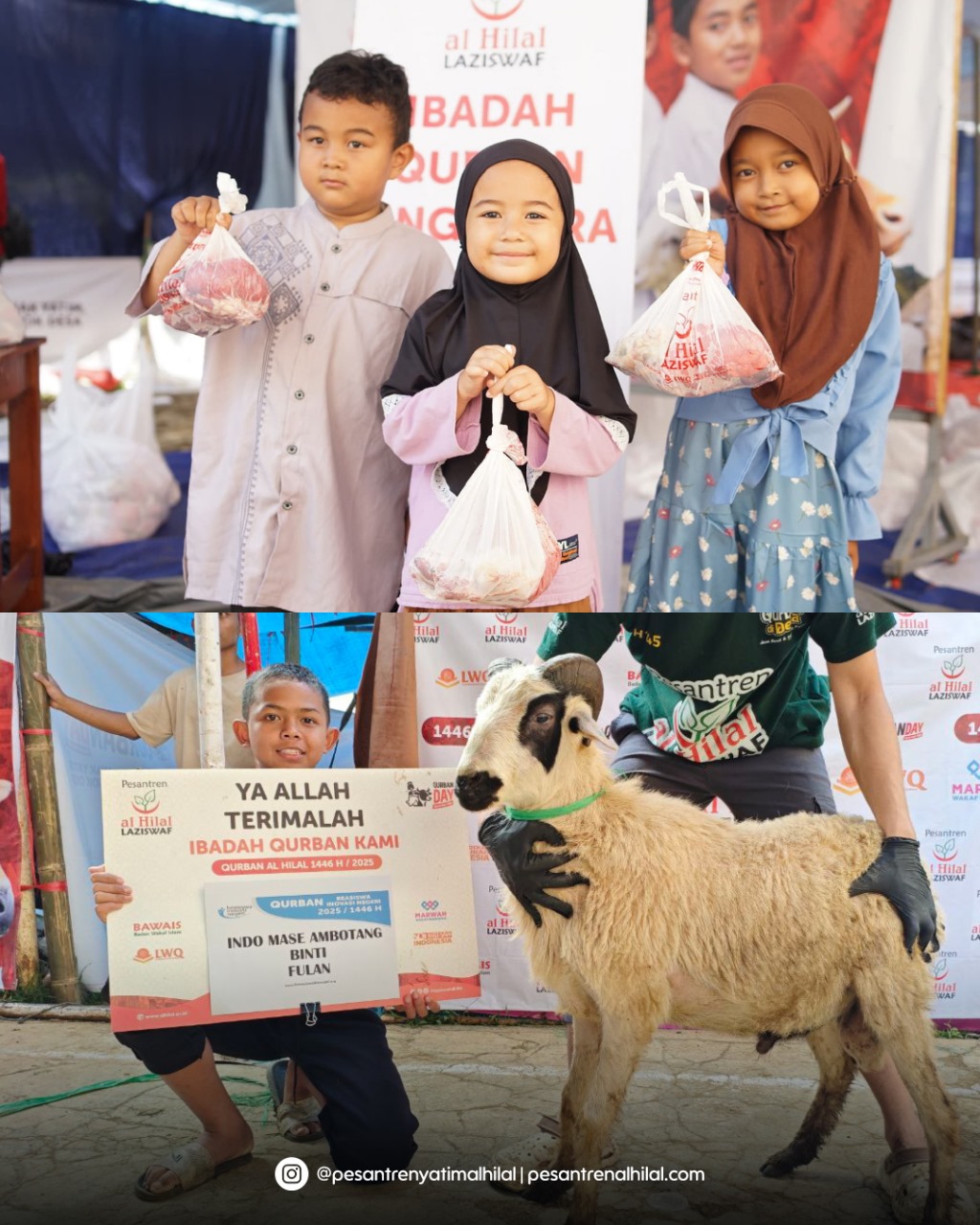 A collage of children holding food and a sheep

AI-generated content may be incorrect.