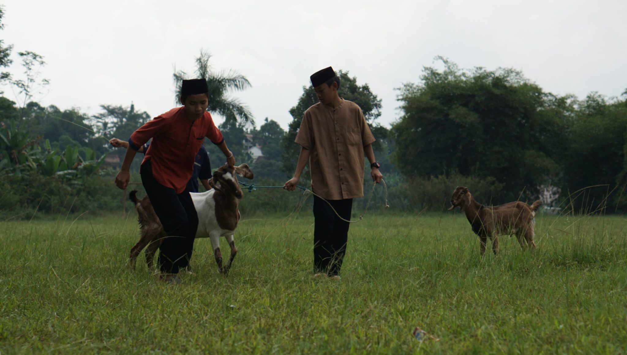 Aqiqah Bandung Pelayanan Cepat dan Bersih