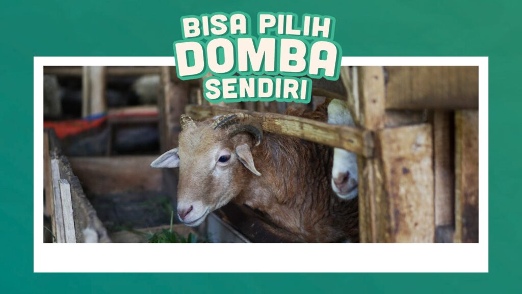 Daftar Harga Aqiqah Bandung Cicaheum, Antar Gratis! Terlengkap 2026