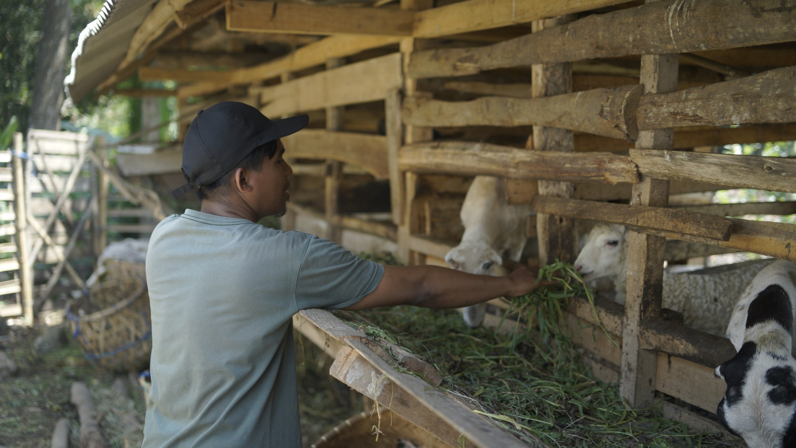 Aqiqah Bandung Promo Diskon Menarik